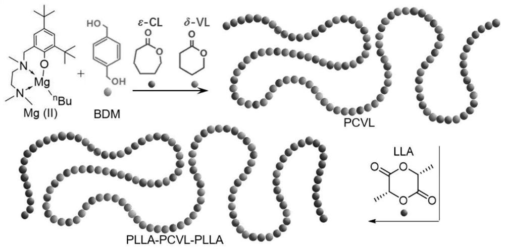 A kind of high-performance aliphatic polyester elastomer and preparation method thereof