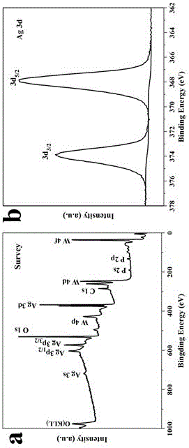Heterojunction nanosheet photocatalyst and preparation method and application of heterojunction nanosheet photocatalyst