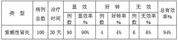 Medicine for treating anaphylactic purpura nephritis and preparation method thereof