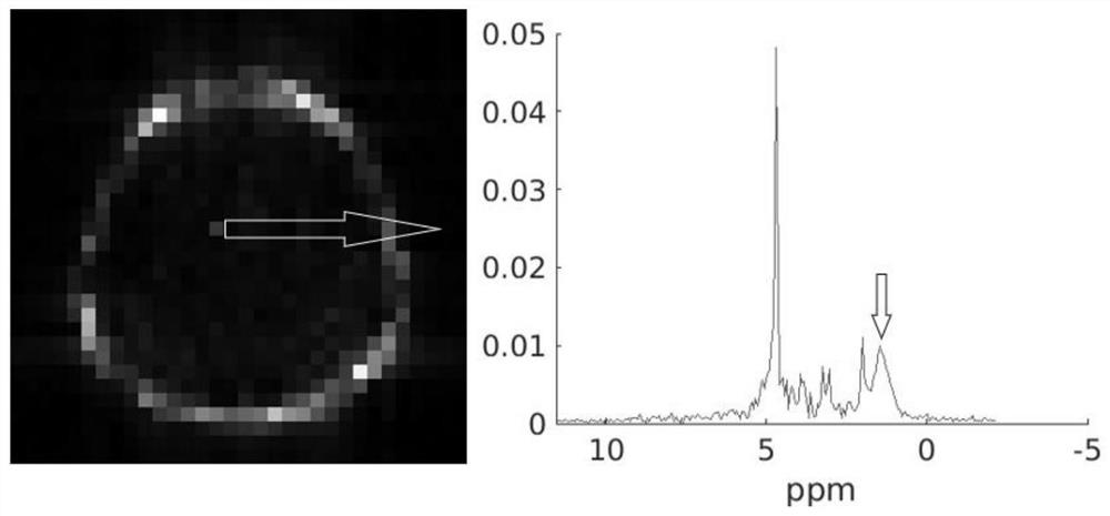 Fat pressing method for magnetic resonance spectrum imaging