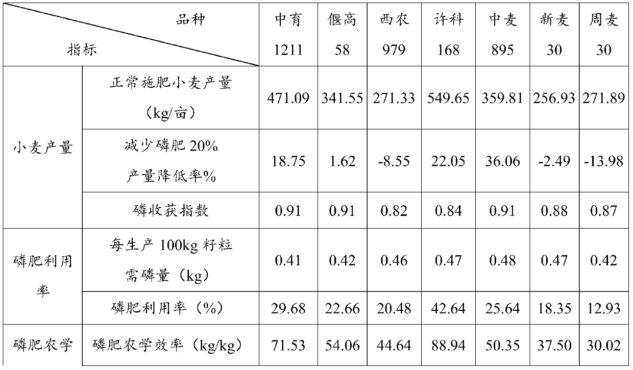 Screening method of wheat varieties utilizing phosphorus with high efficiency