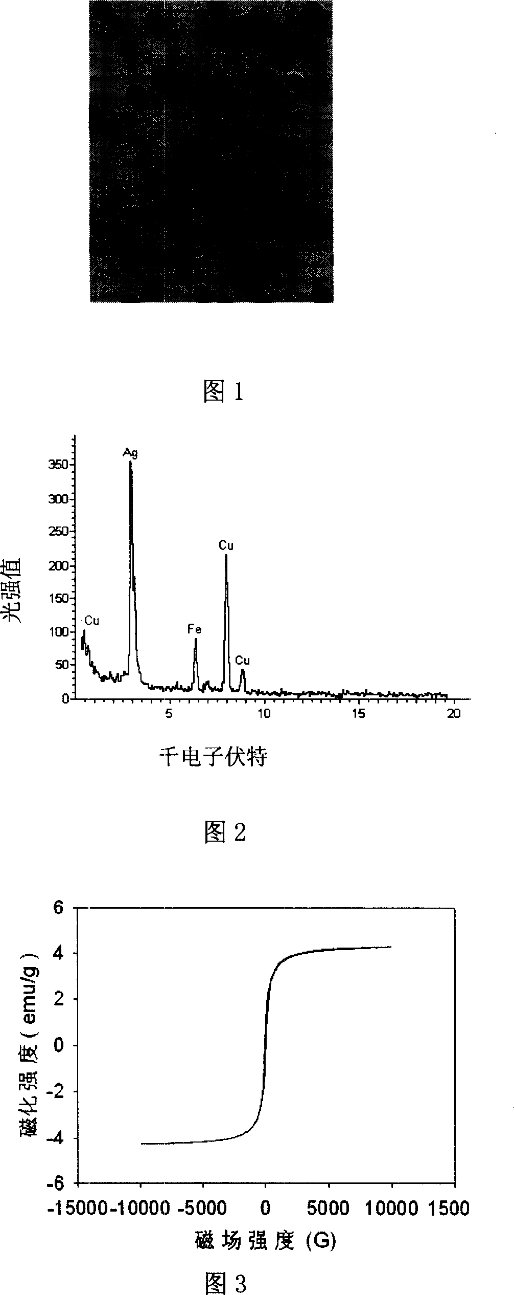 Silver/magnetic nanometer particle and its preparation method