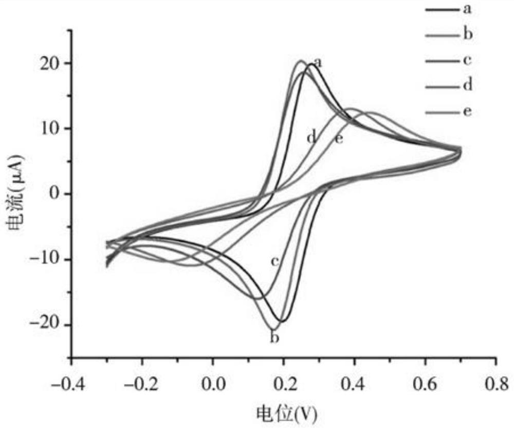 Methylation electrochemical immunoassay method, electrode and electrochemical sensor