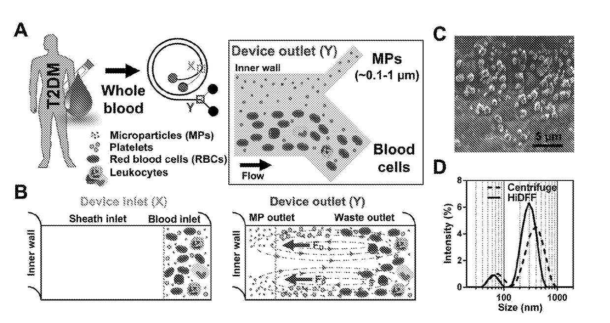 Leukocyte and microparticles fractionation using microfluidics