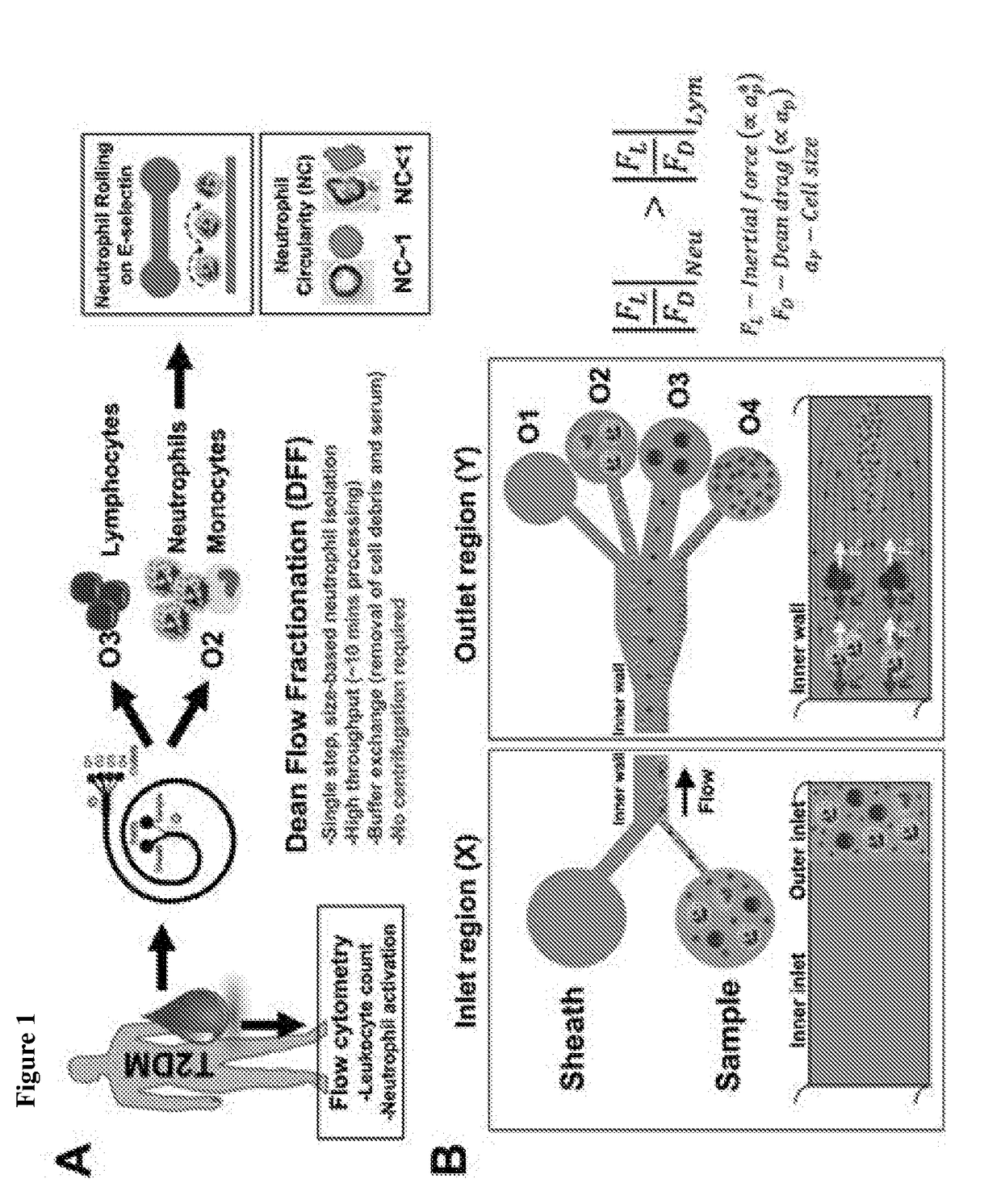 Leukocyte and microparticles fractionation using microfluidics