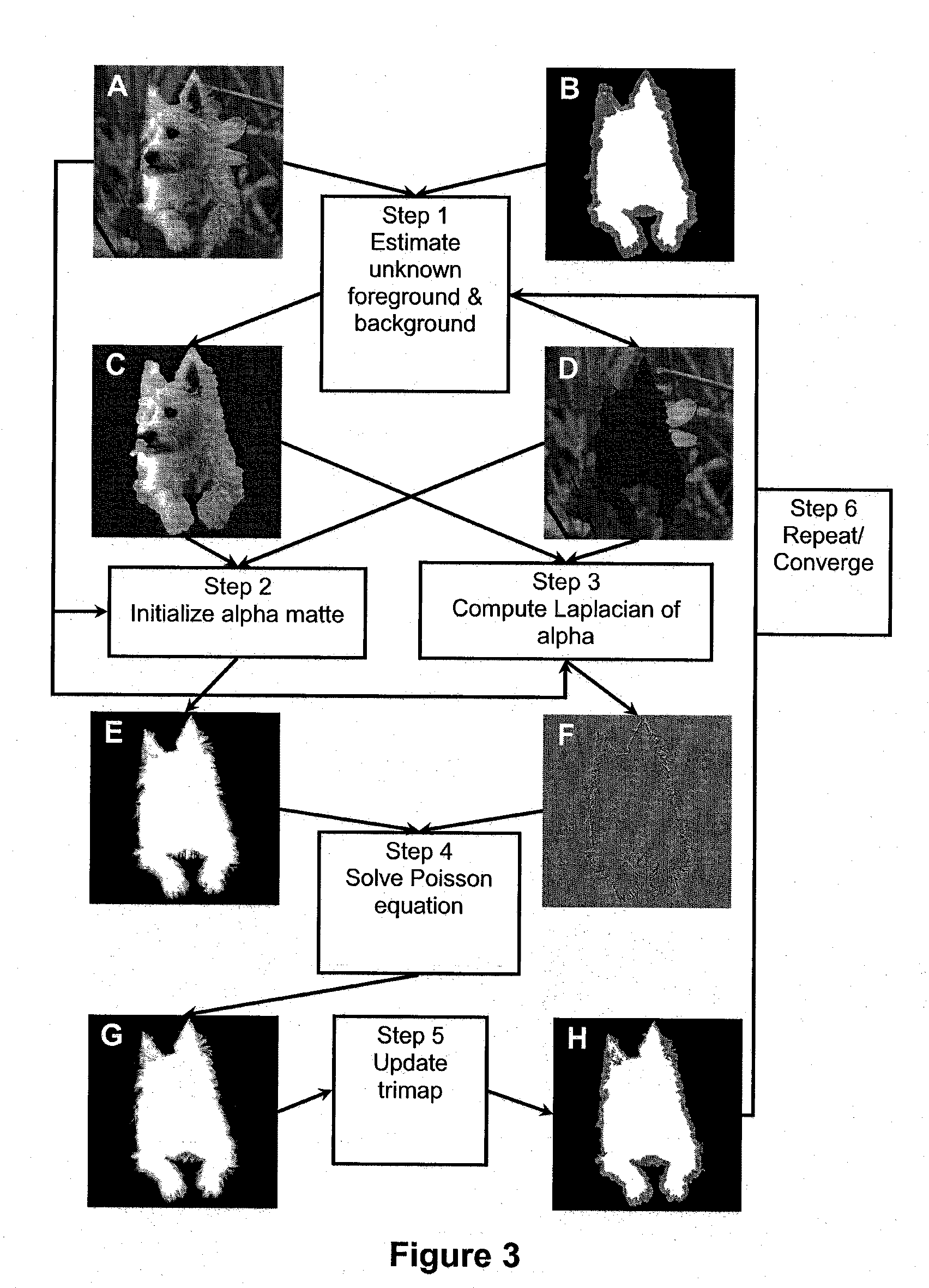 Real-time image and video matting