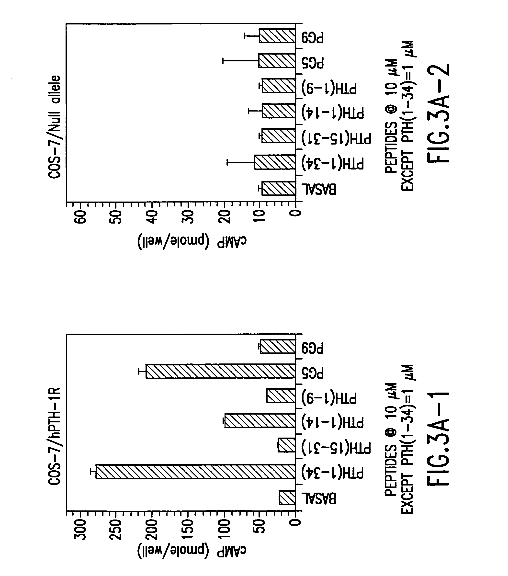 PTH functional domain conjugate peptides, derivatives thereof and novel tethered ligand-receptor molecules