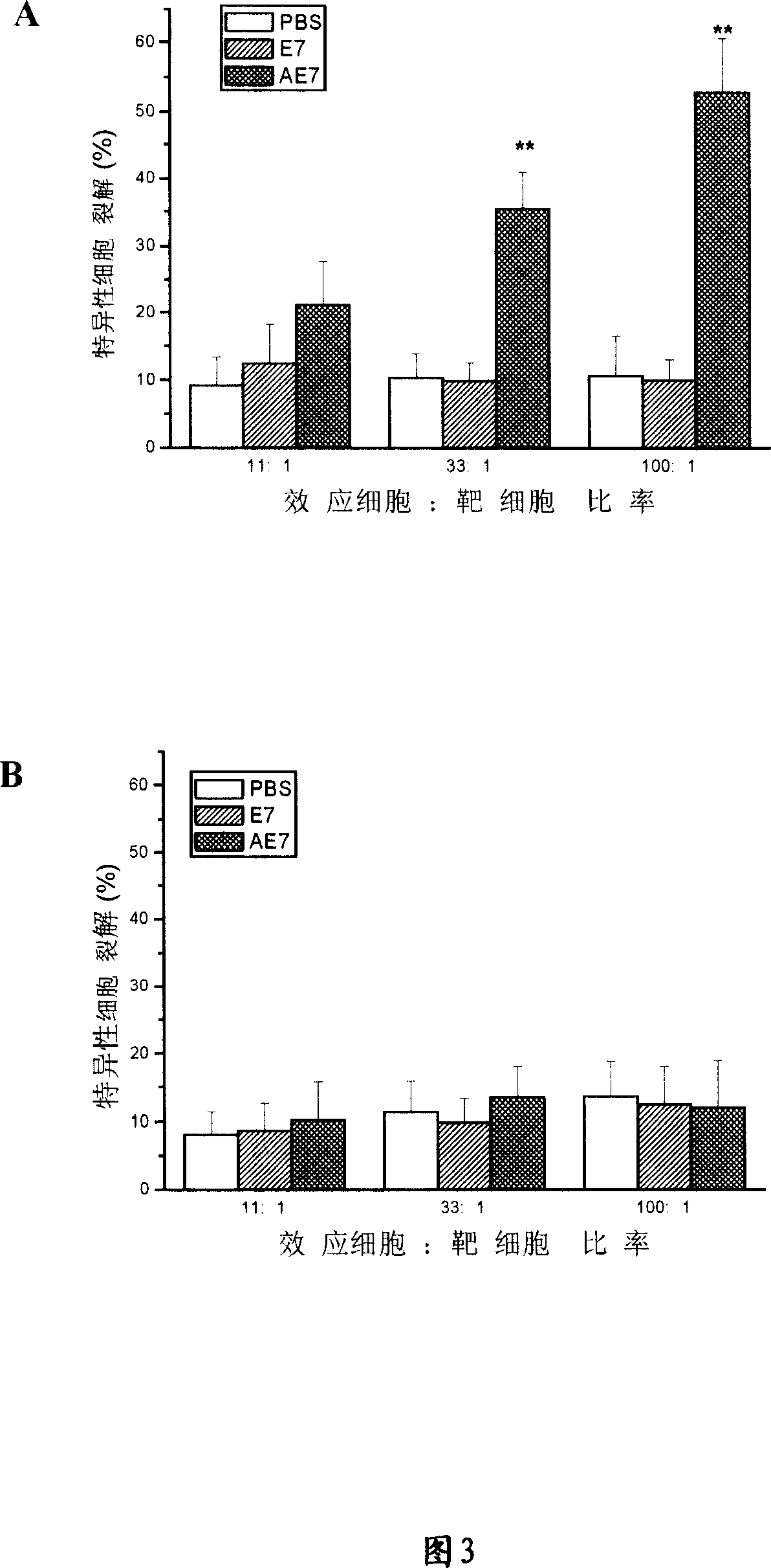 Fusion albumen containing HSP70 ATPase structure field and mammal p53 albumen and application thereof
