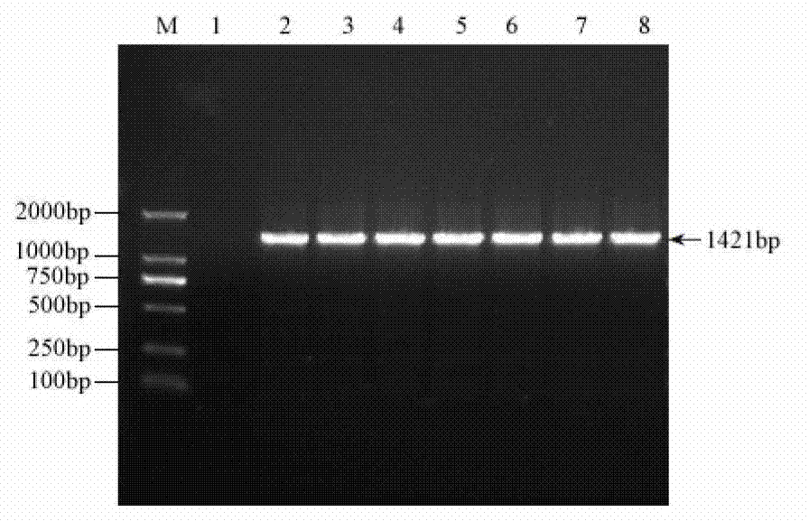 Rice salt stress related gene SIDP364 and coding protein and application thereof