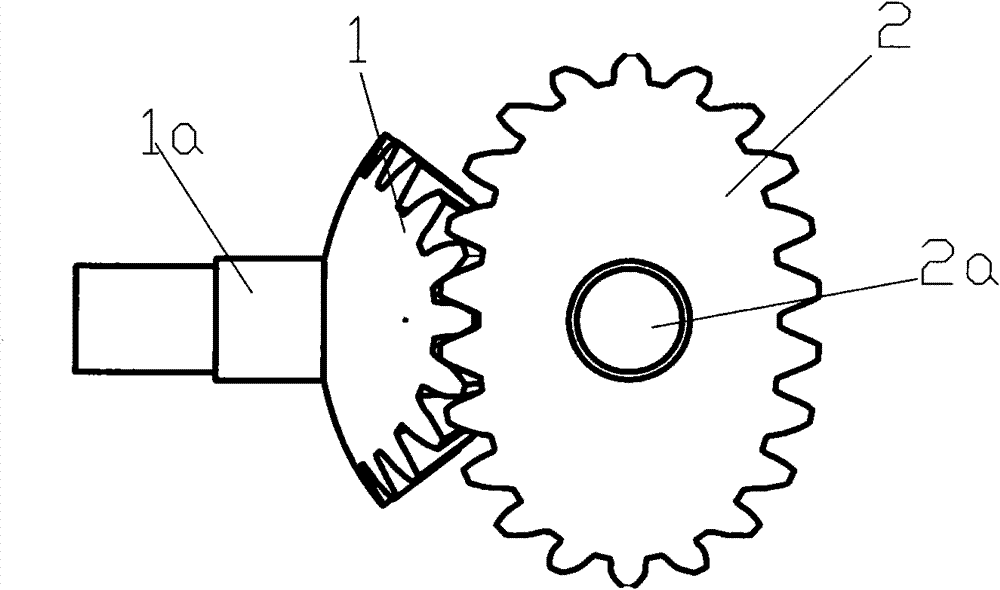 Egg shape conical gear pump
