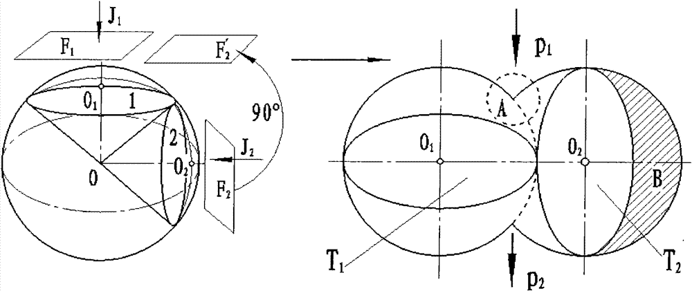 Egg shape conical gear pump