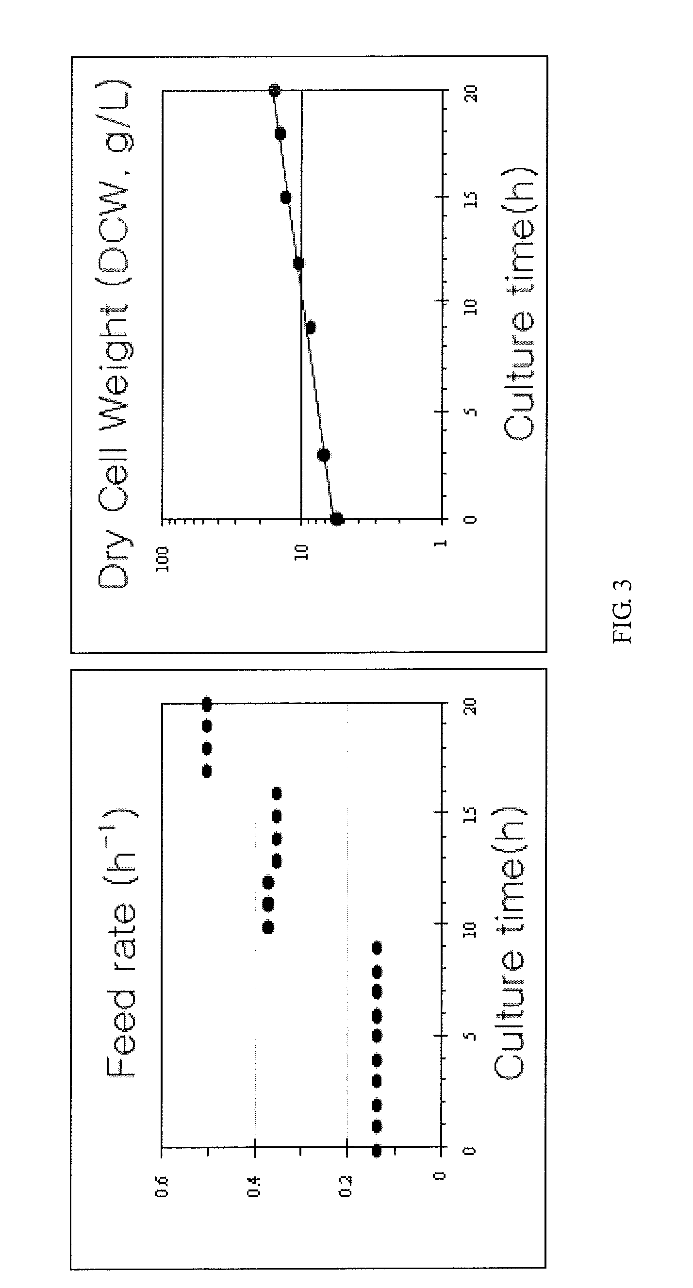 Method for producing high concentrate lactic acid bacteria with membrane bioreactor and freeze-dried, lactic acid bacteria powder