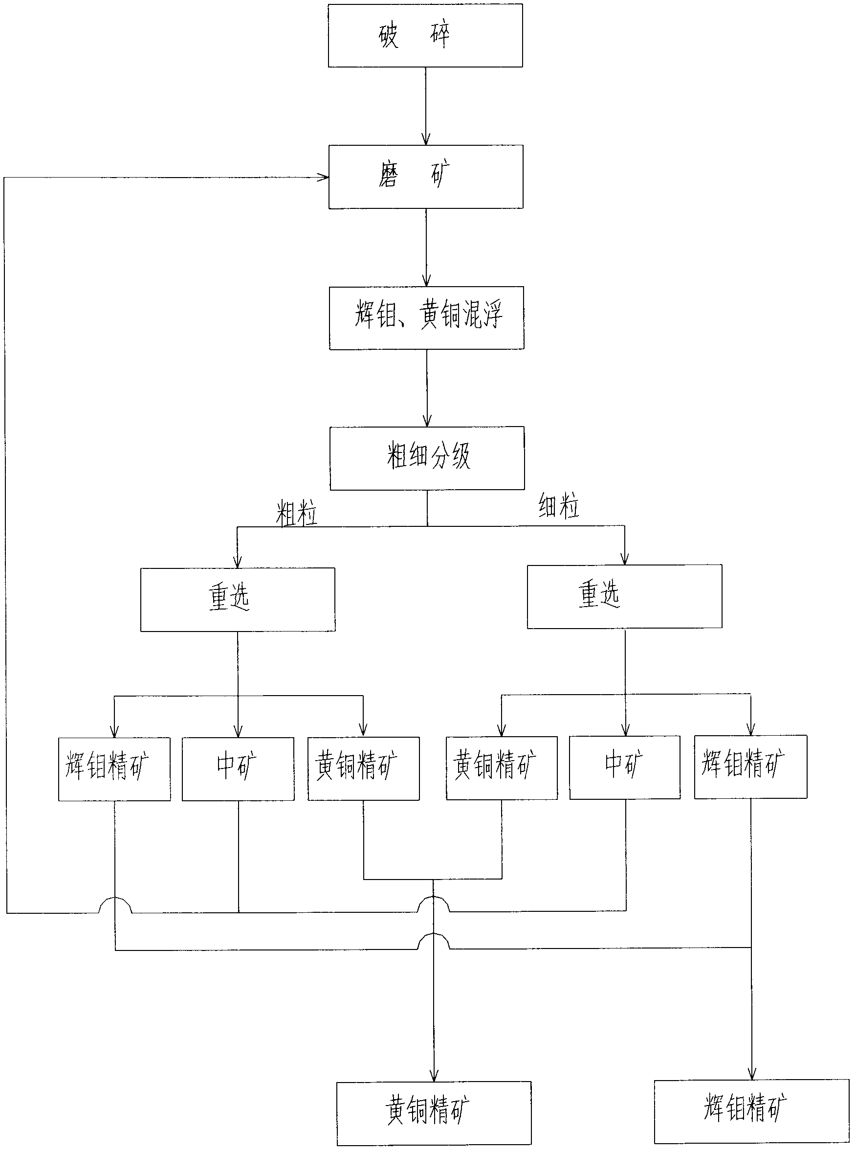 Method for separating bright molybdenum and brass in refractory molybdenum copper sulphide ore
