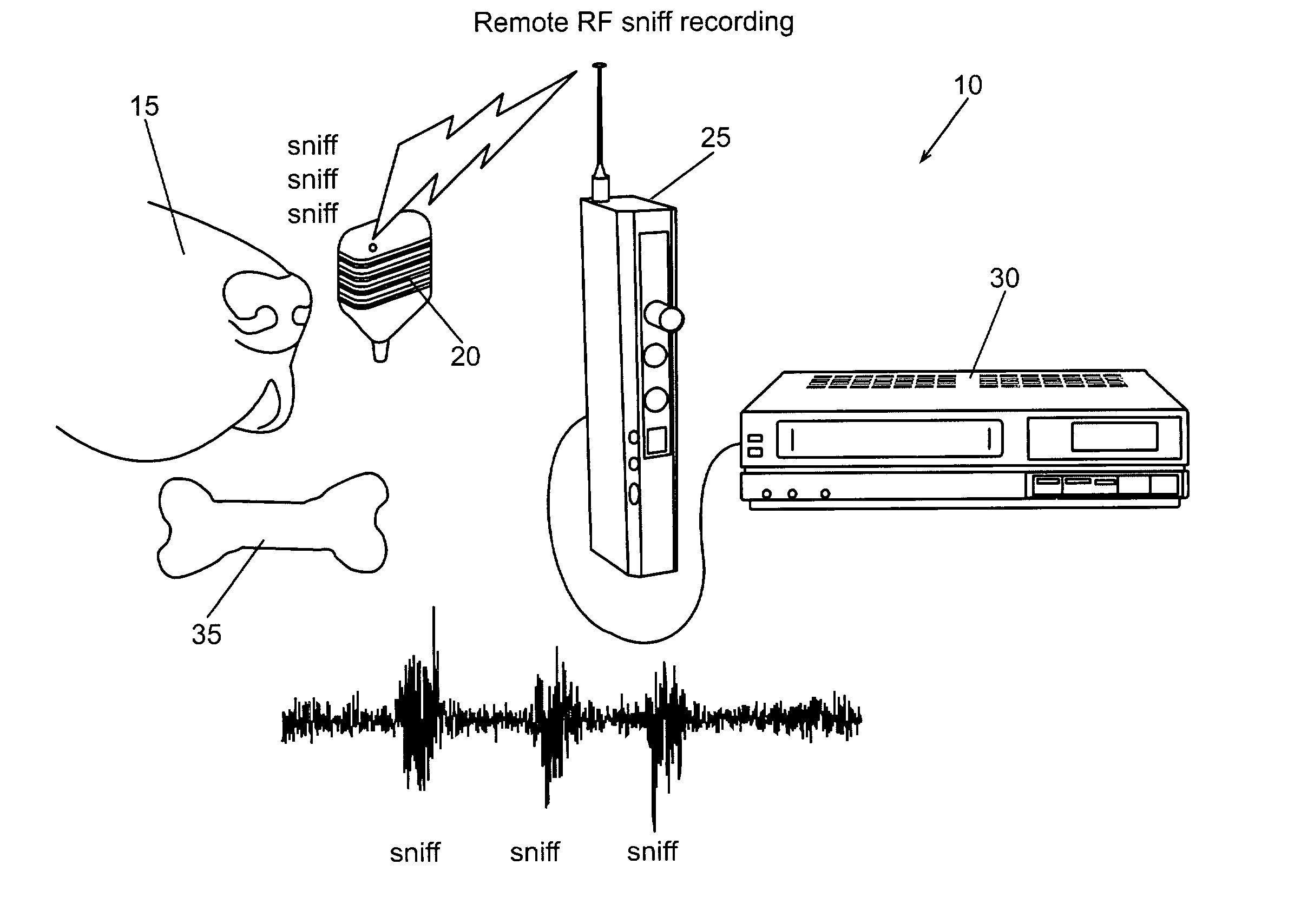 Apparatus and method for the measurement of the aerodynamics of olfaction in animals and man