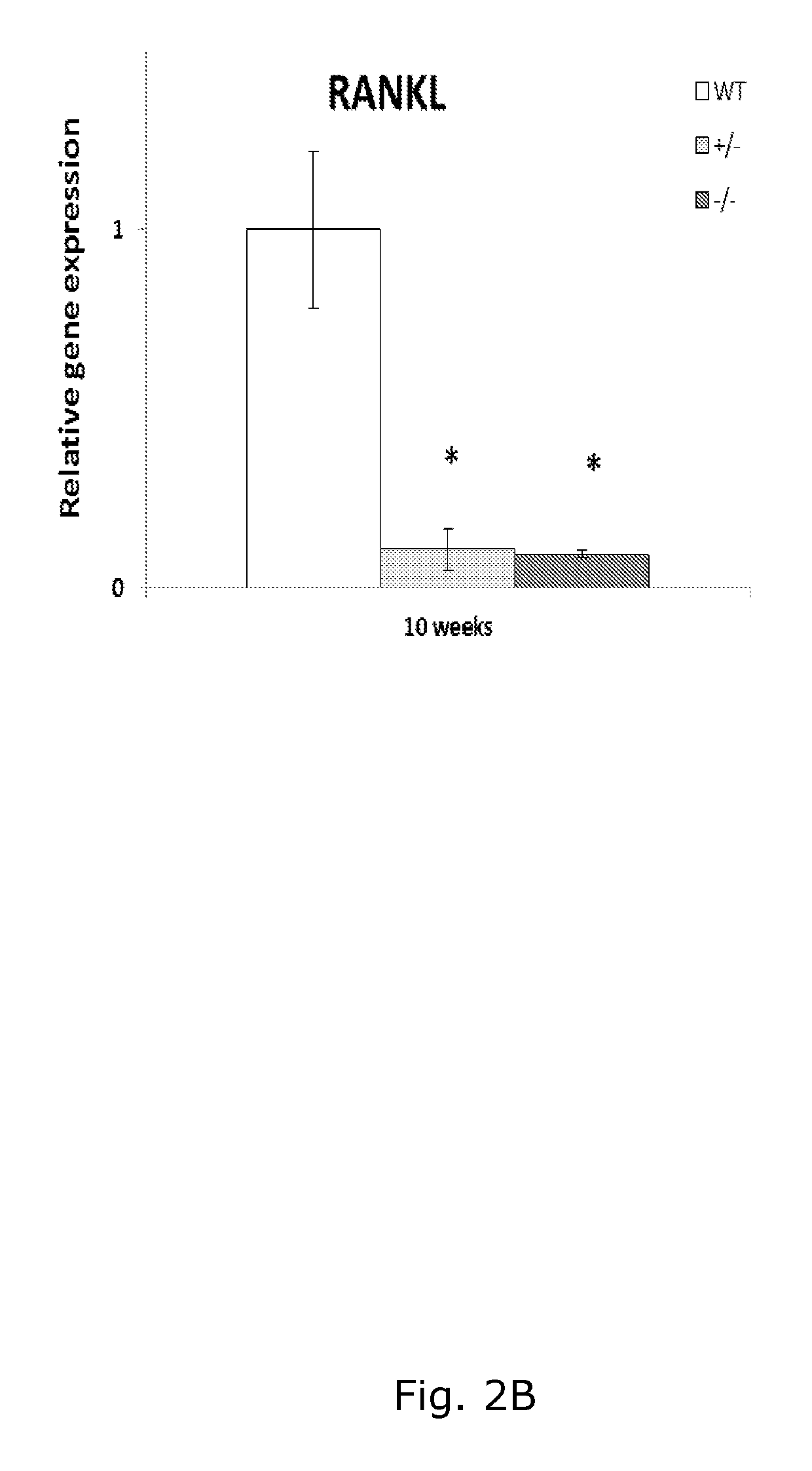Antibodies, compounds and derivatives thereof for use in the treatment of male infertility