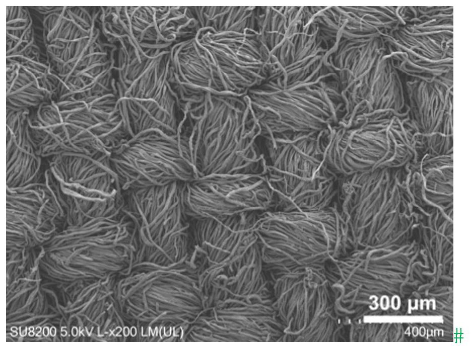 A kind of carbon fiber material with deposited sulfur element and its preparation method and application