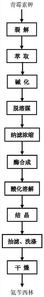 A kind of method preparing ampicillin by penicillin potassium