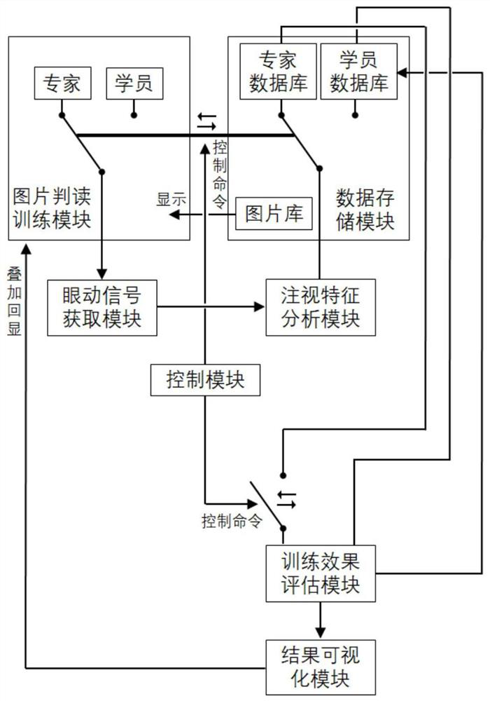 Image interpretation ability training system and method based on expert eye movement signal guidance