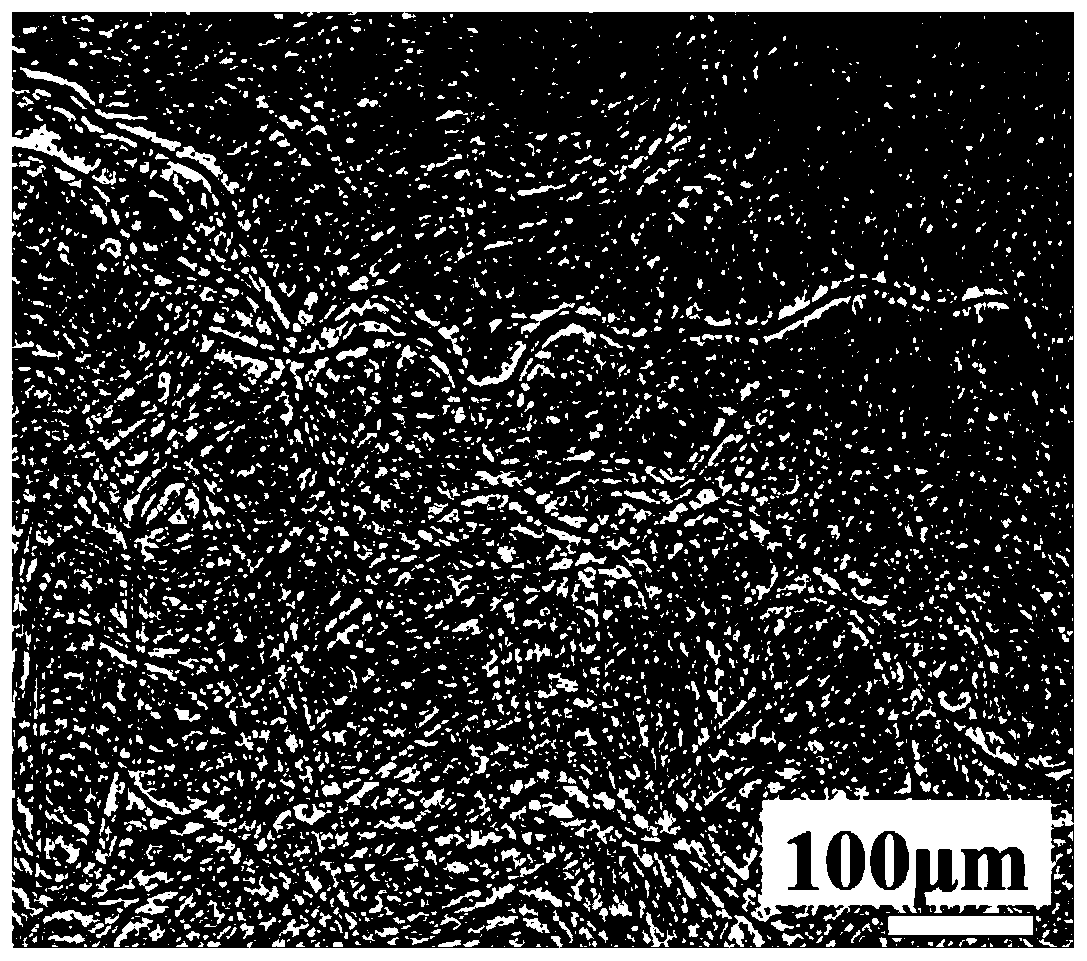 A Method for Cryopreserving Schwann Cells Using Supramolecular Hydrogels in a Confined Space