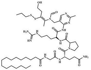 Peptide conjugated derivatives based on palmitoyl tetrapeptide-7, preparation methods and uses