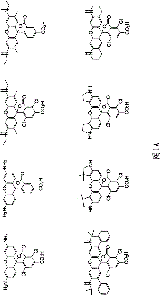 Reagents for Synthesis of Rhodamine-Labeled Oligonucleotides