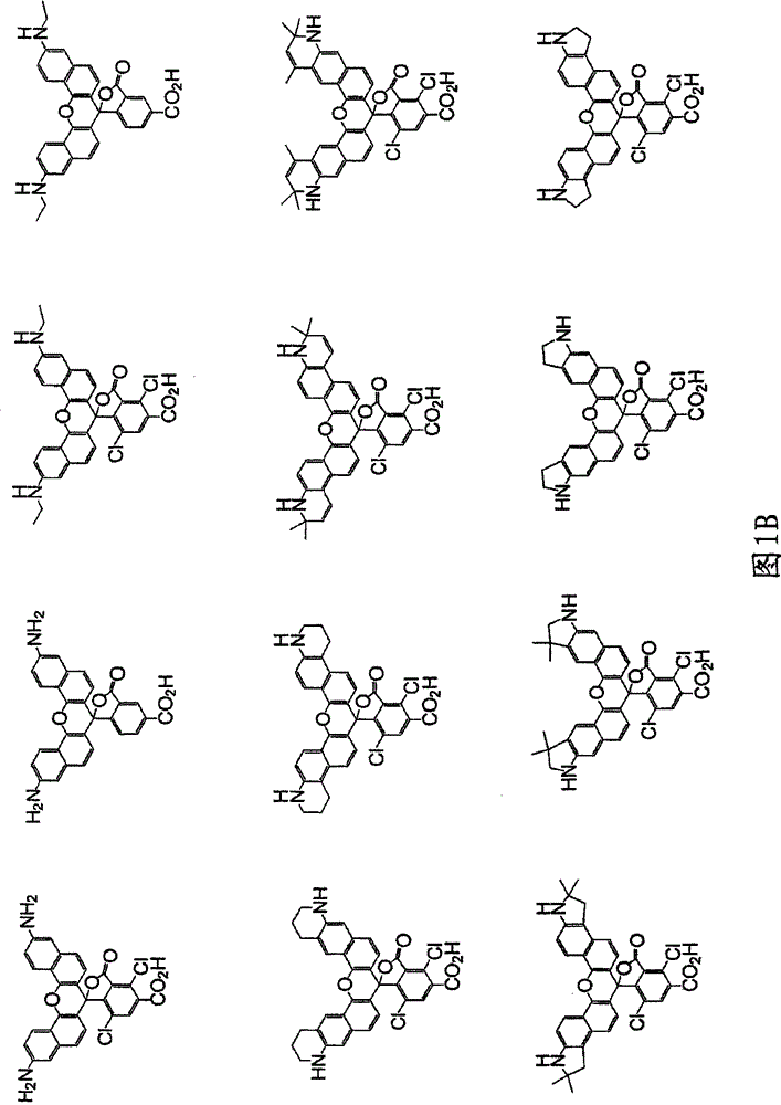 Reagents for Synthesis of Rhodamine-Labeled Oligonucleotides