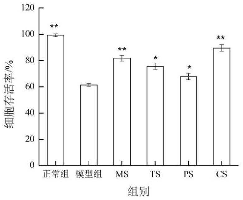 Composite piperine concentrated powder and preparation method thereof