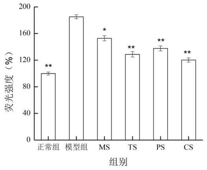 Composite piperine concentrated powder and preparation method thereof
