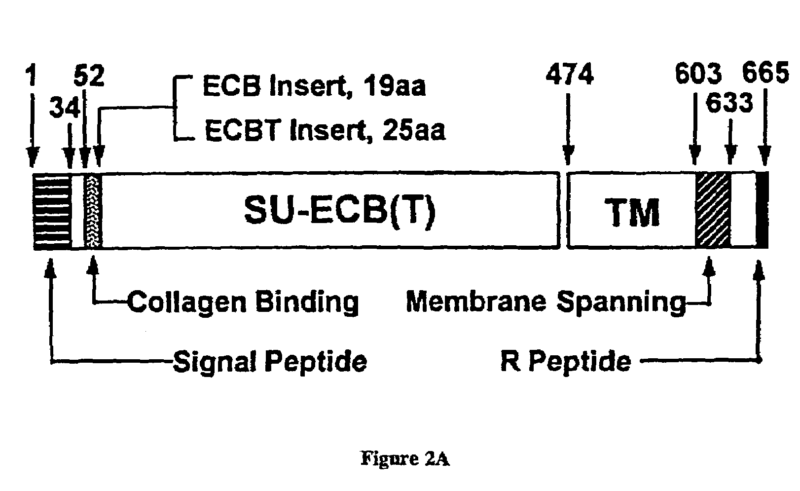 Method of delivering therapeutic agents to site of tissue injury