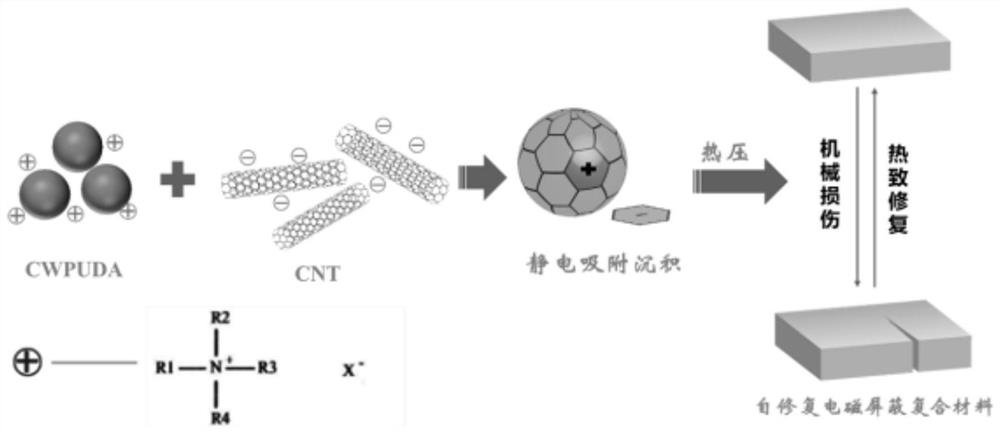 Preparation method of self-repairing carbon nanotube-cationic waterborne polyurethane electromagnetic shielding composite material