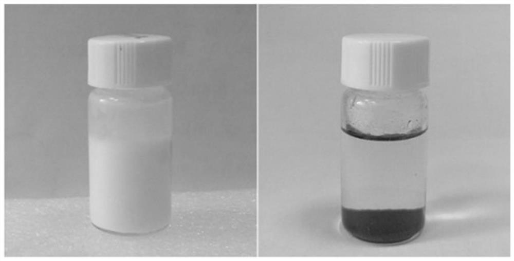 Preparation method of self-repairing carbon nanotube-cationic waterborne polyurethane electromagnetic shielding composite material