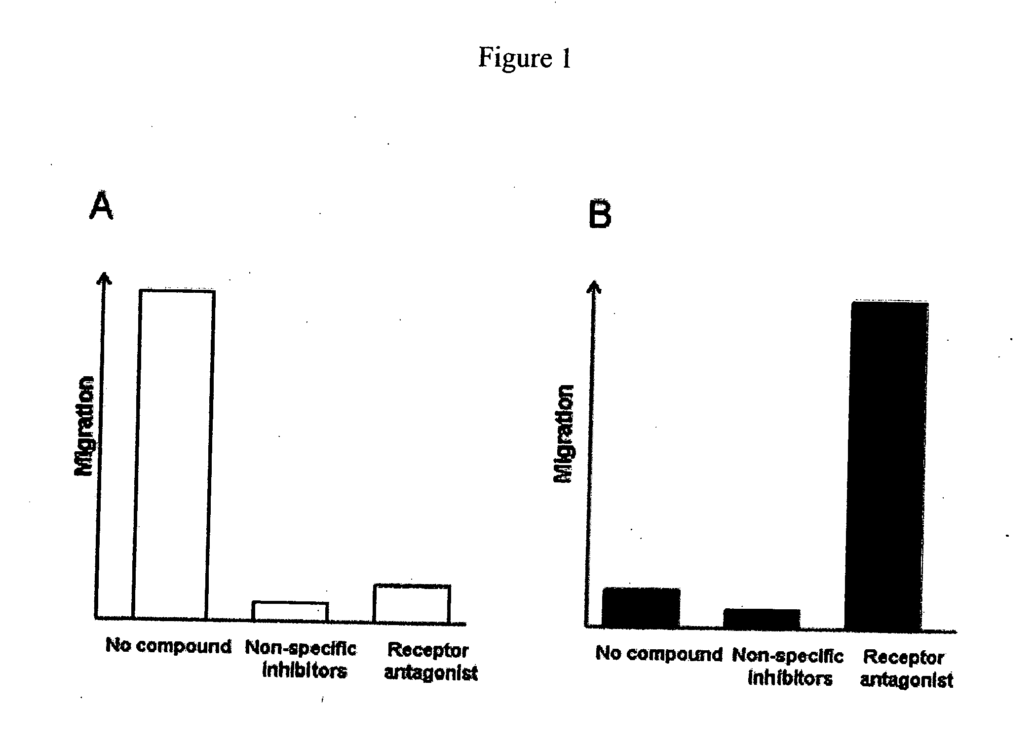 Cell migration assay