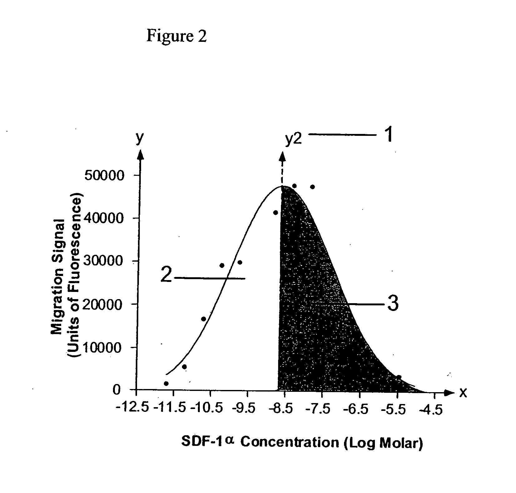 Cell migration assay