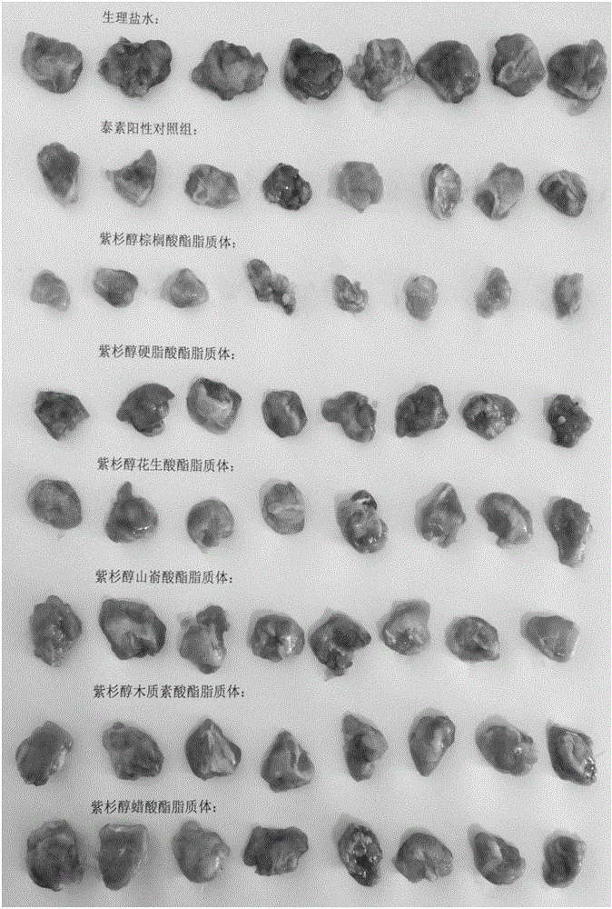 Paclitaxel palmitate liposome and preparation method thereof