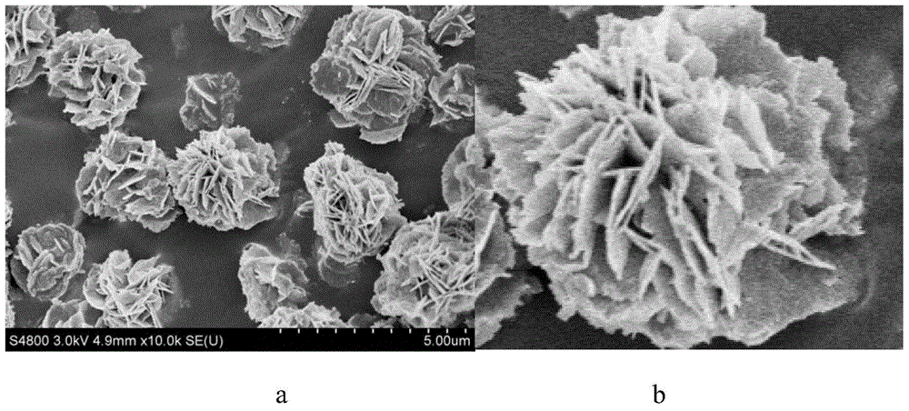 A kind of flower type ho-bi2wo6 nanometer powder and its preparation method and application