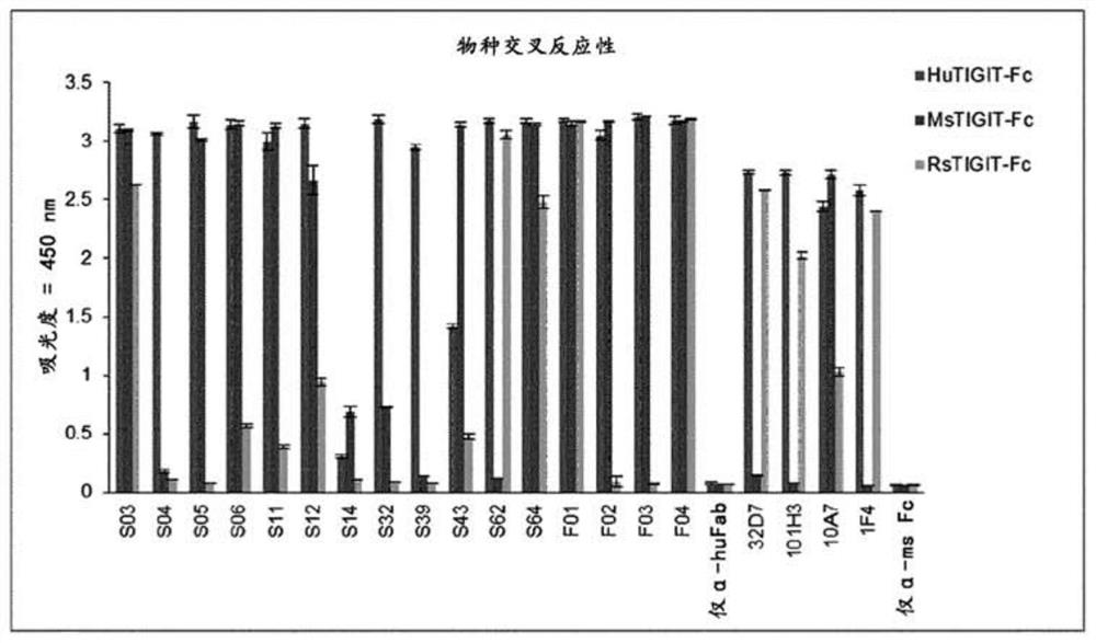 Anti-tigit antibodies and uses thereof