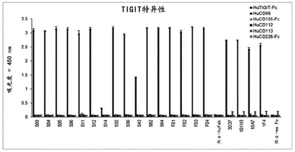 Anti-tigit antibodies and uses thereof