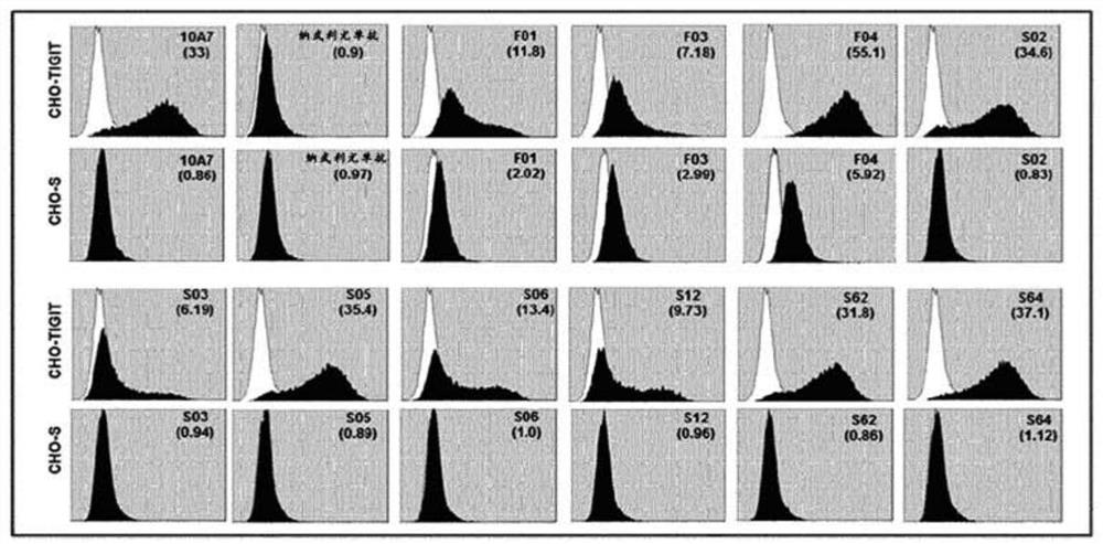 Anti-tigit antibodies and uses thereof