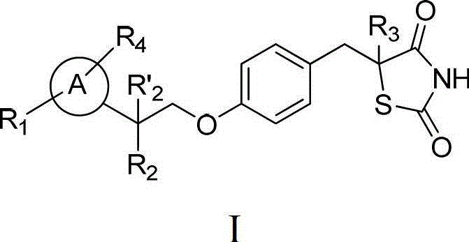 Thiazolidinedione analogues