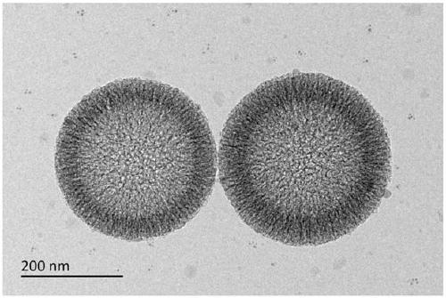 Flaky MoS2-x coated hollow porous carbon sphere@sulfur composite material and preparation and application thereof