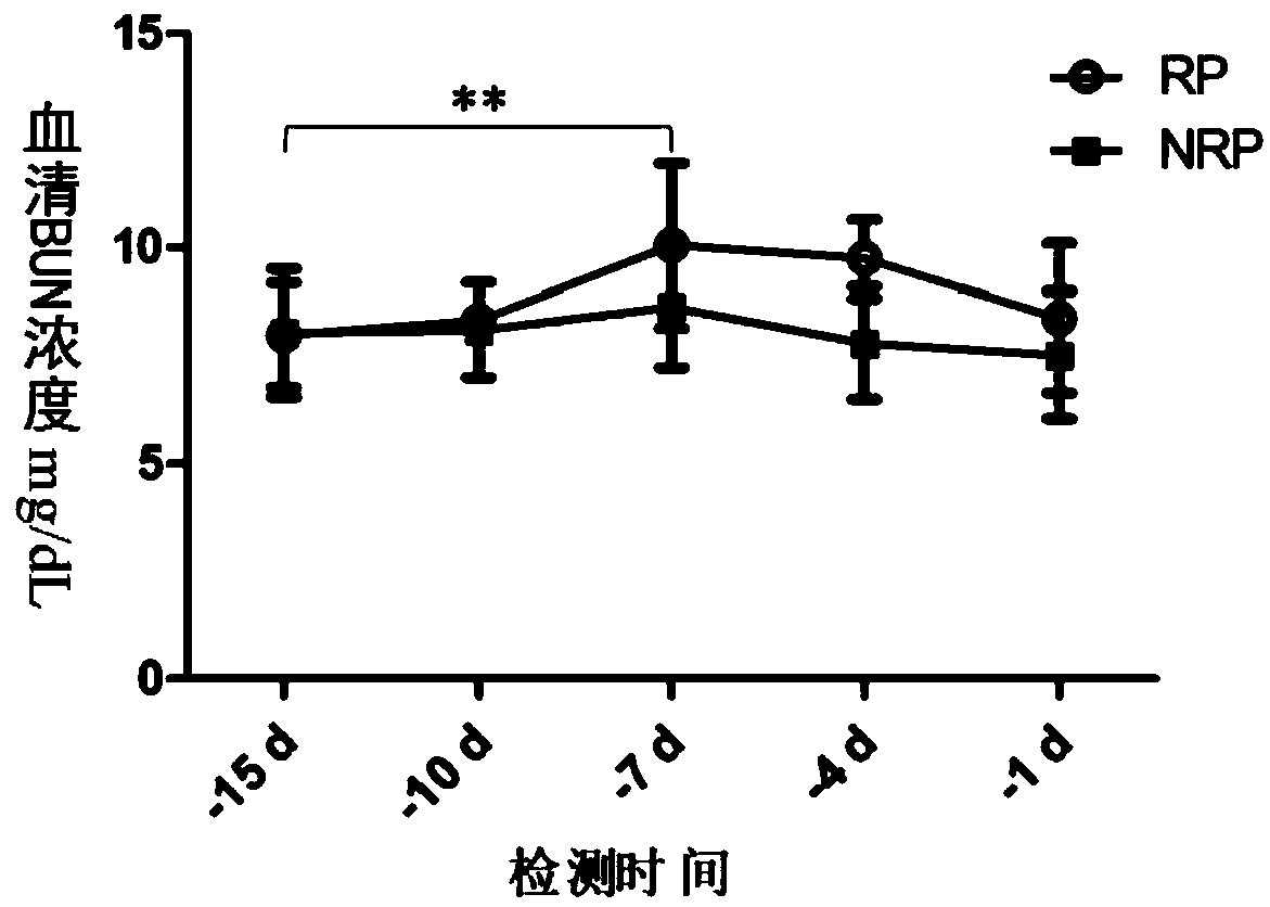 Biomarker for early warning of retained placenta of dairy cows and application thereof