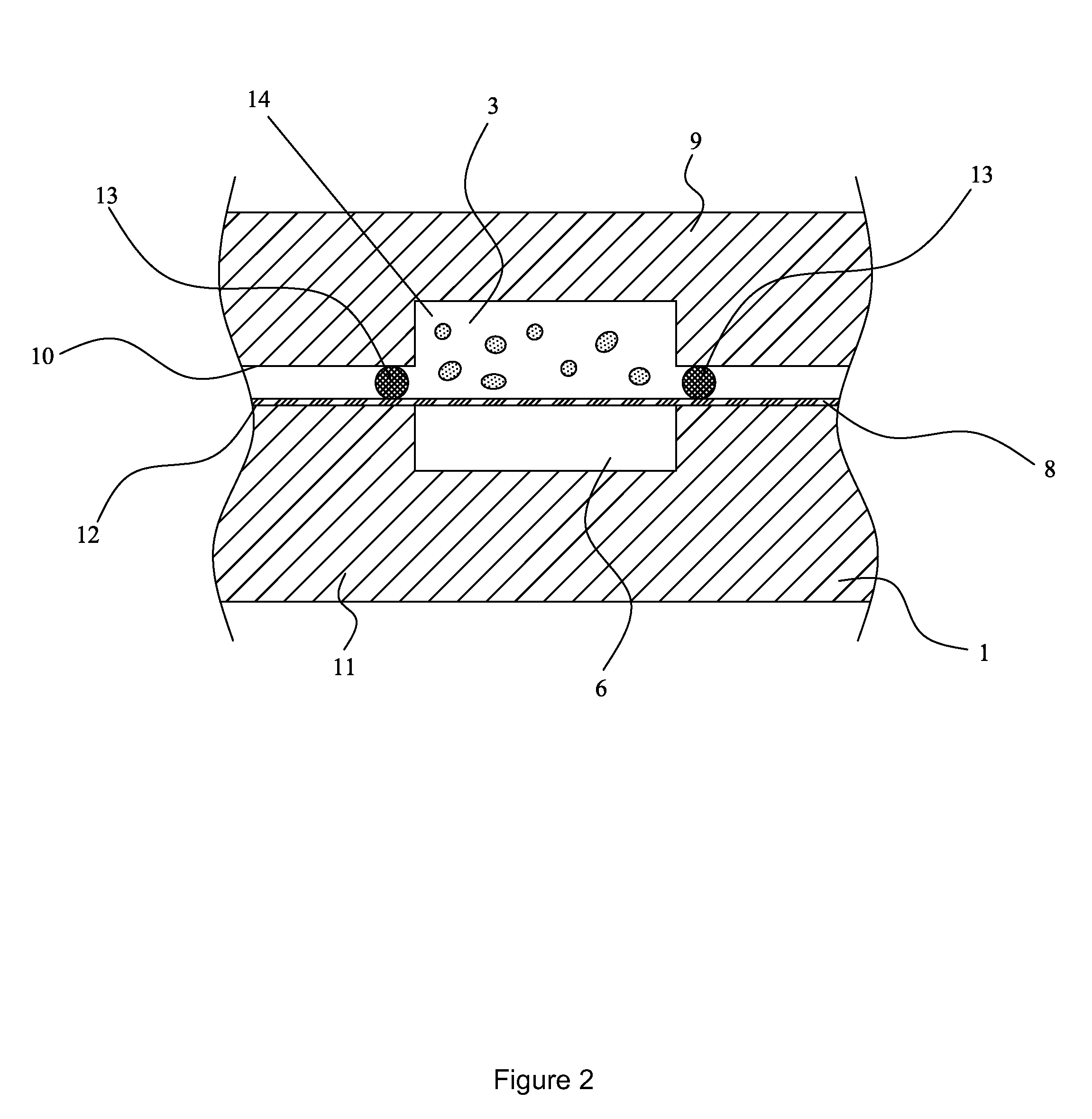 Biochip assembly and assay method thereof