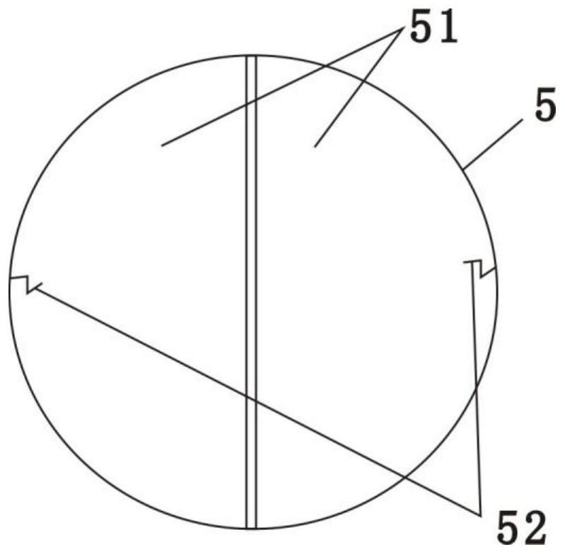 Kidney biopsy puncture device