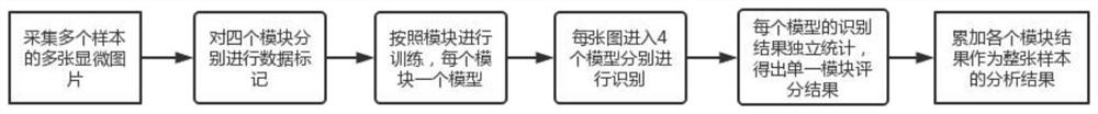 Simple neural network-based automatic AV analysis method and system