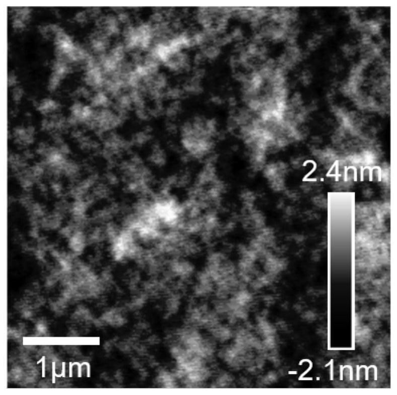 A metalloporphyrin-based heterojunction memristor and its preparation method and application