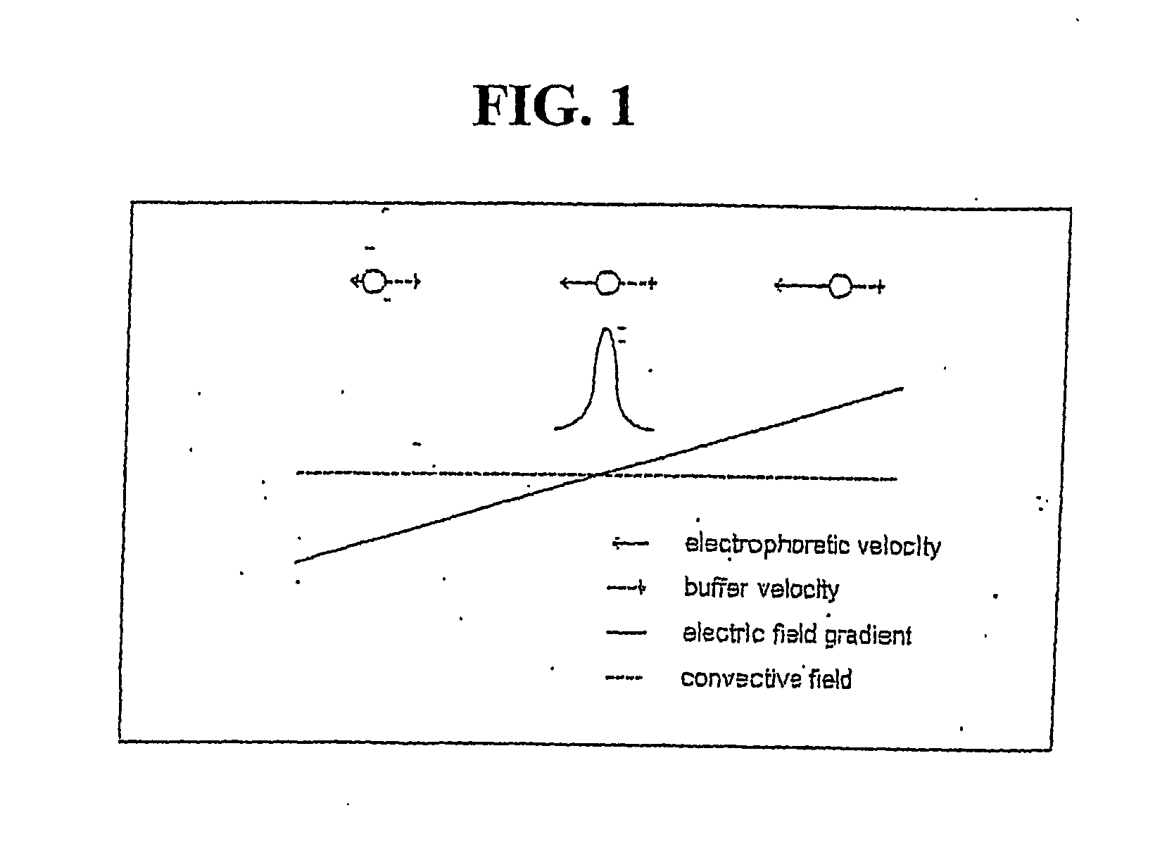 Method and apparatus determining the isoelectric point of charged analyte