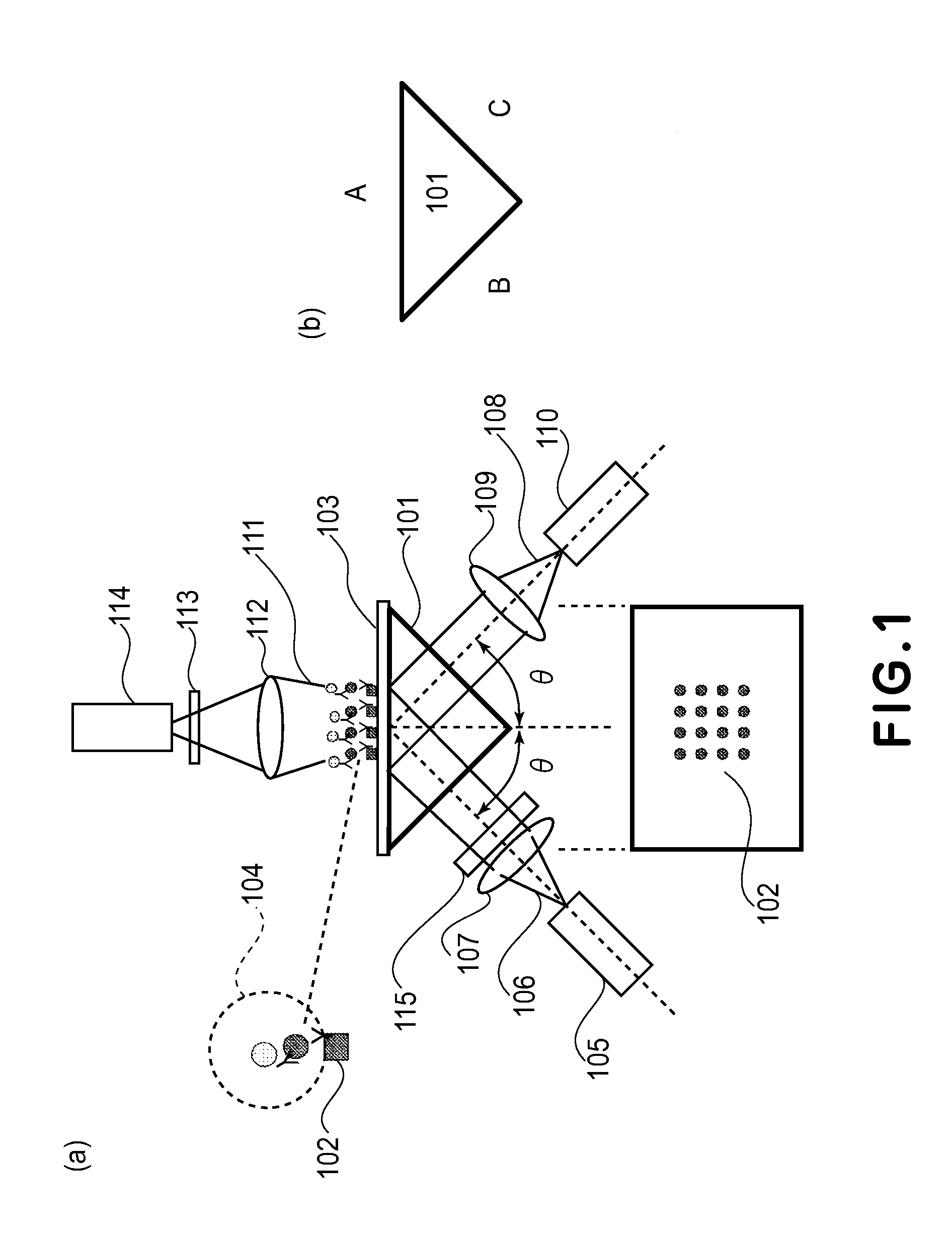 Detection Apparatus and Detection Method for Plasmon Resonance and Fluorescence
