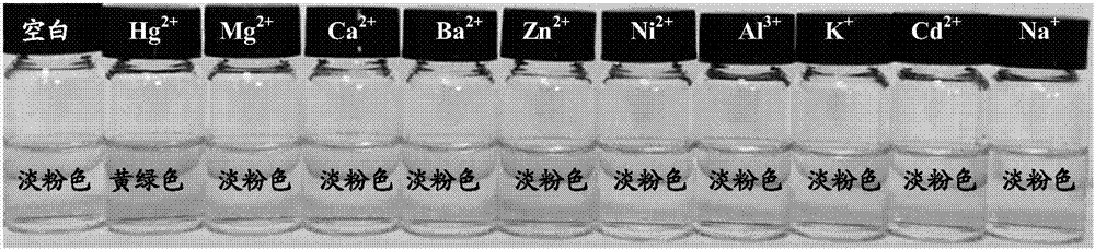 Preparation and Application of a Reactive Mercury Ion Fluorescent Probe