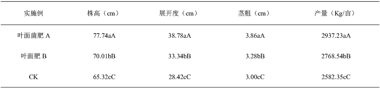 Efficient foliar bacterial fertilizer for vegetables as well as preparation method and application thereof