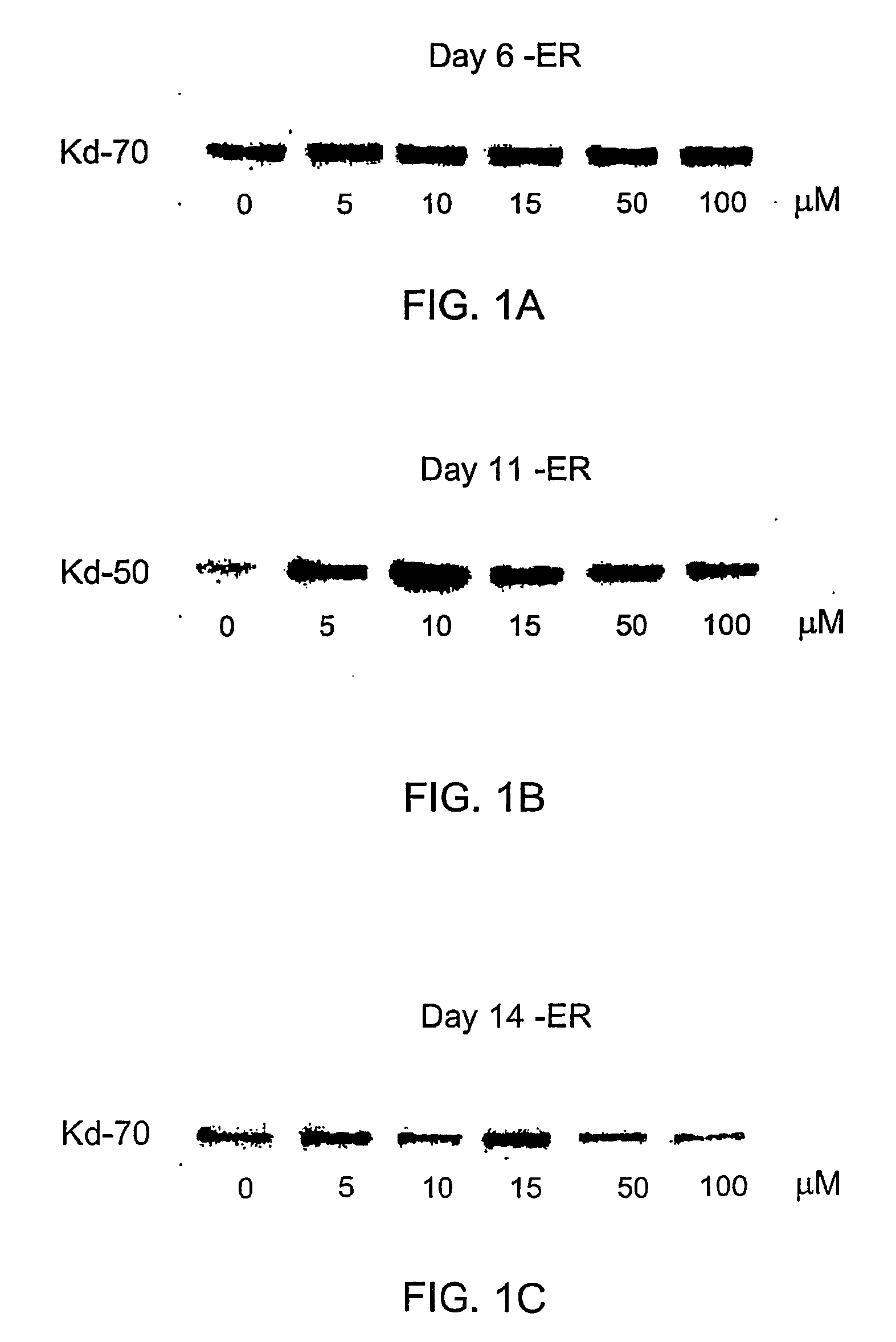 Derivatives of cyclic1, 3- propanediol phosphate and their action in differentiation therapy